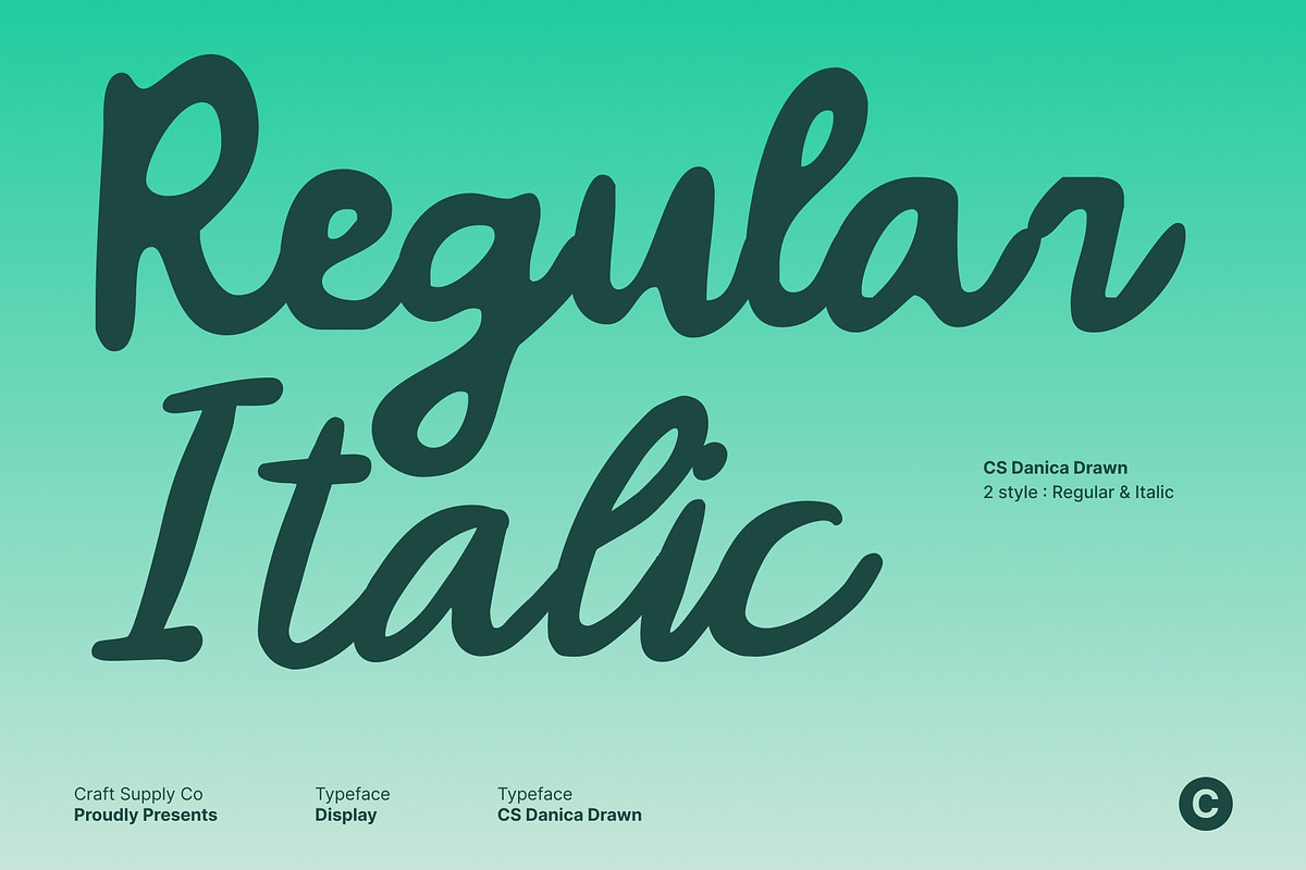 CS Danica Drawn, a Script Font by Craft Supply Co. (Photo 4 of 8)
