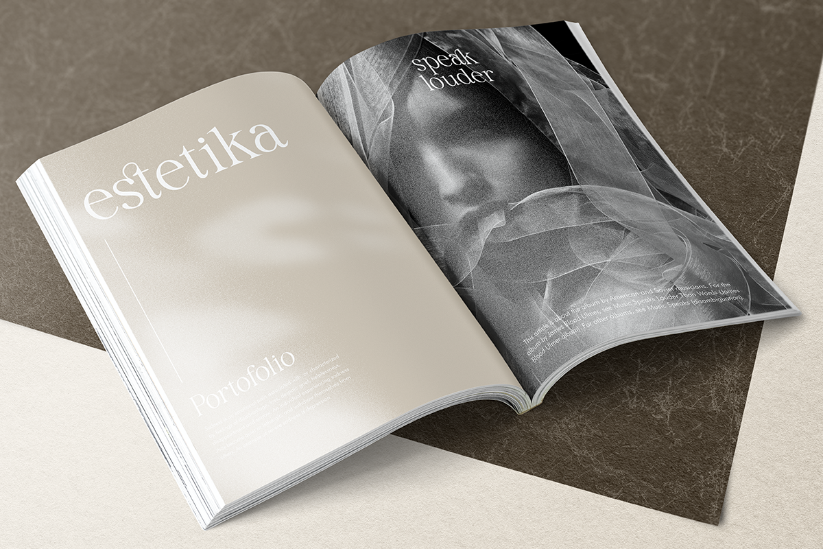 Salsify - Classic Thin Serif, a Serif Font by Pandeka Studio (Photo 4 of 12)