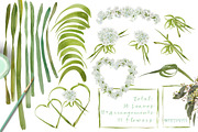 White Spring-Paperwhites, an Illustration by watercolorwild.graphics (Thumbnail 4 of 7)