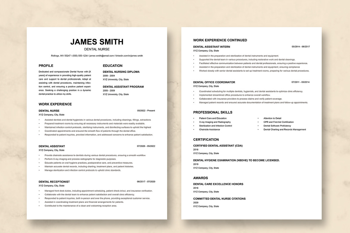 Dental Nurse Resume Template preview 2