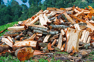 Firewood Pile For Winter, a Nature Photo by THP Creative