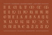 Collectivo – Stylish Condense Serif, a Serif Font by Almarkhatype (Thumbnail 12 of 12)