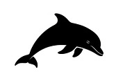 Dolphin Jumping Silhouette Vector, an Illustration by Designs_River (Thumbnail 40 of 51)
