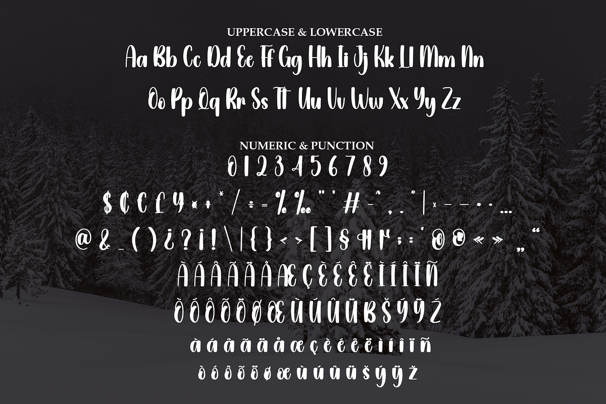 Snowly | Script Font, a Handwritten Font by Scratchones (Photo 7 of 9)