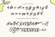 Blomming - Brush Font, a Script Font by Cruzine (Thumbnail 4 of 10)