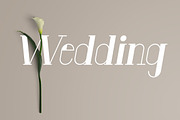 Anatta Display Serif Typeface, a Serif Font by PARAMAJAN (Thumbnail 3 of 11)