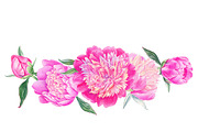 Peonies, a Decorative Illustration by Watercolor life (Thumbnail 4 of 6)