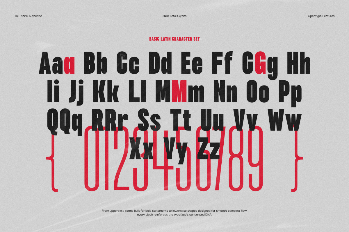 TRT NOIRE Authentic Condensed, a Sans Serif Font by truetype (Photo 6 of 15)