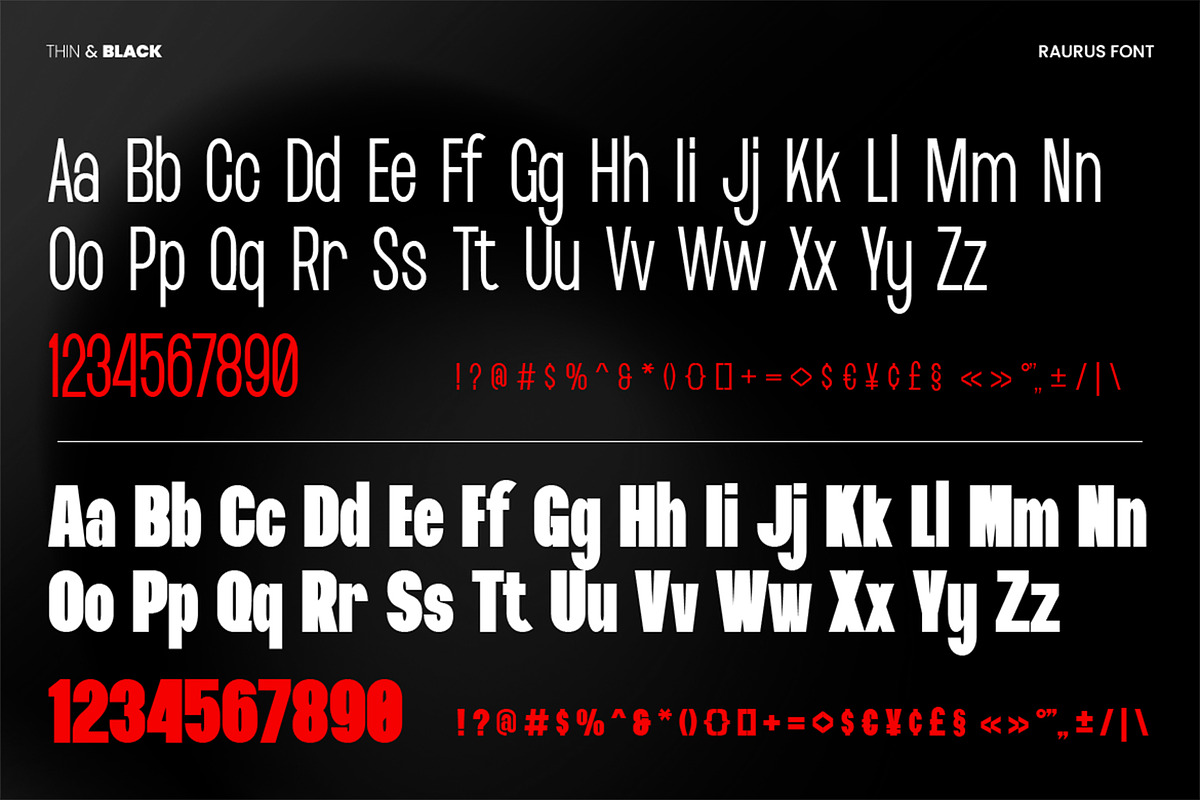 Raurus Condensed Display Family Font, a Sans Serif Font by Pekotype (Photo 4 of 15)