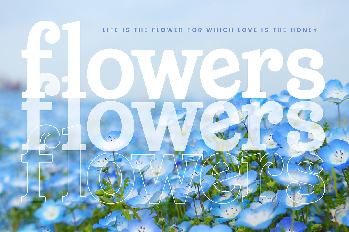 Meridi Rolitud Modern Serif Font, a Serif Font by timelesstype.co (Photo 9 of 20)