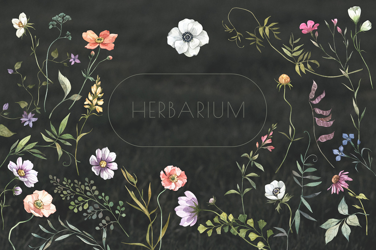 SERENITY Wild flowers collection, a Decorative Illustration by Anastezia Luneva (Photo 9 of 9)