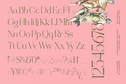 Reaons | Elegant Thin Serif Font, a Serif Font by timelesstype.co (Thumbnail 15 of 15)