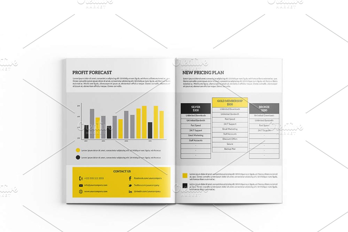Marketing Plan, a Marketing Template by ZohairKhanLtd (Photo 5 of 5)