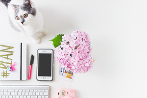 Flatlay Feminine desk Kitten-Flower
