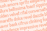 Aperitivo Affair by Emily Ann Hill, a Slab Serif Font by Emily Ann Hill Type Co. (Thumbnail 4 of 4)