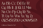 Calissea, a Serif Font by din-studio.com (Thumbnail 9 of 10)