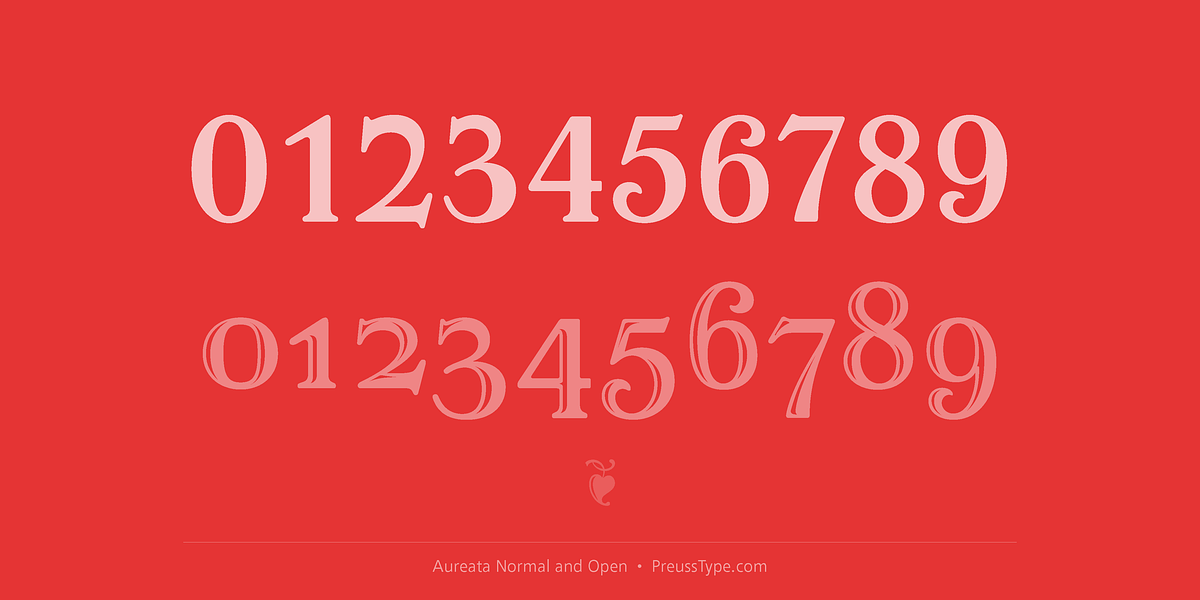 Aureata, a Serif Font by preussTYPE (Photo 4 of 10)