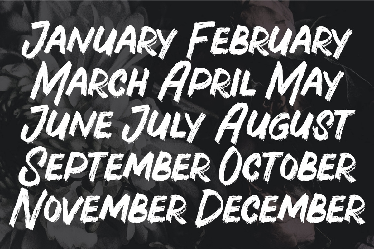 Page Maker - Handwritten Brush, a Handwritten Font by tebaltipislab (Photo 10 of 10)