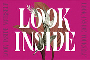 Aslock - Display Serif, a Serif Font by ErgibiStudio (Thumbnail 7 of 10)