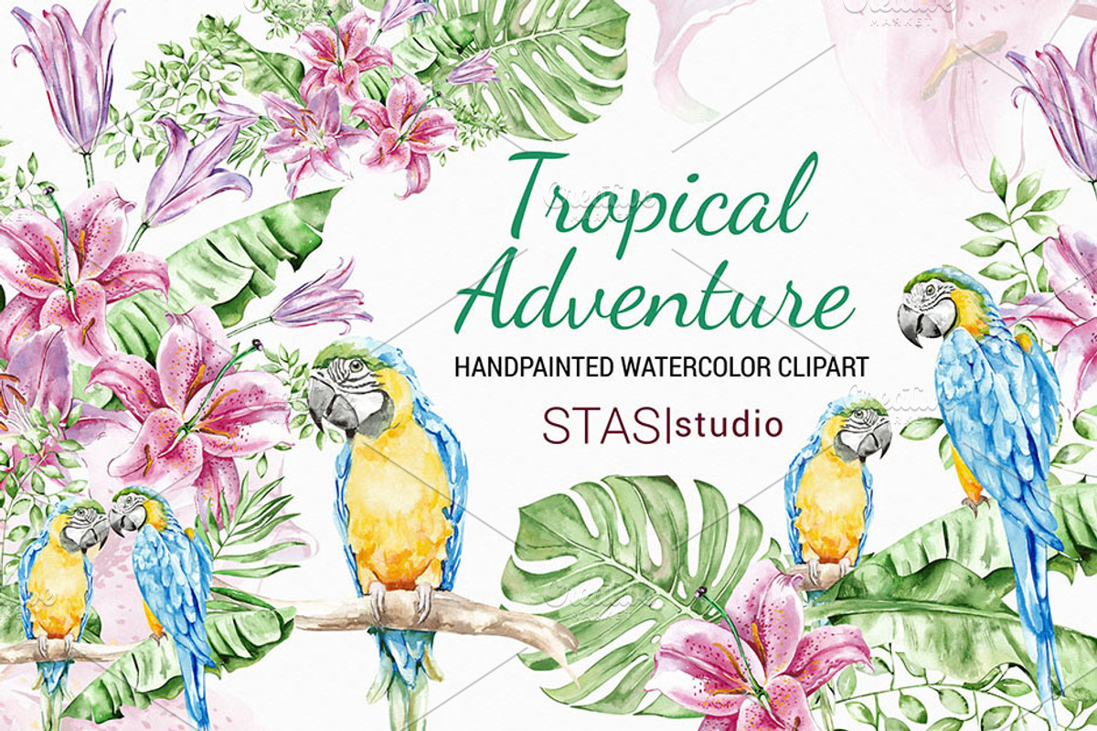 Tropical Parrots Watercolor Clipart, a Decorative Illustration by STASIstudio (Photo 1 of 4)