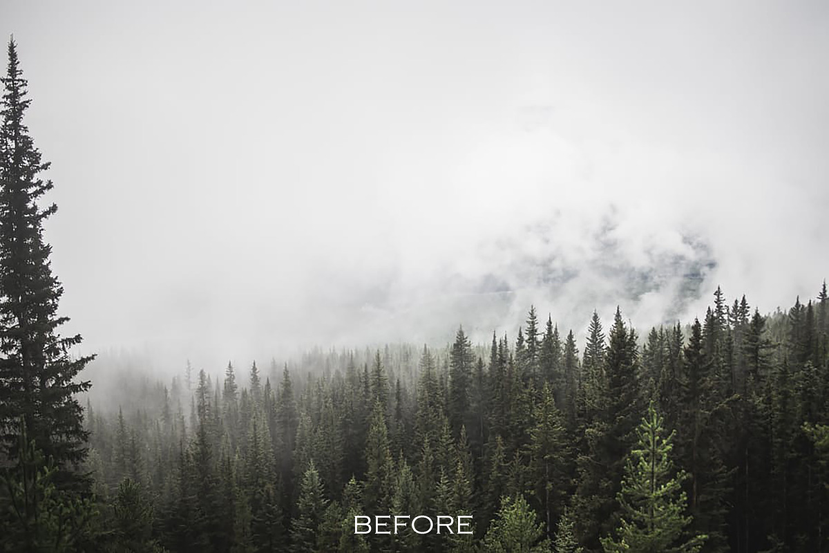 10 Cool Fog Lightroom Presets preview 2