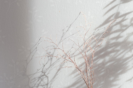 Clover and glass vase home decor featuring kusamono, shitakusa, and, a Beauty & Fashion Photo by Studio Light & Shade