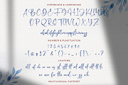 Ramly Zatins - Signature Script Font, a Script Font by StringLabs (Thumbnail 7 of 8)