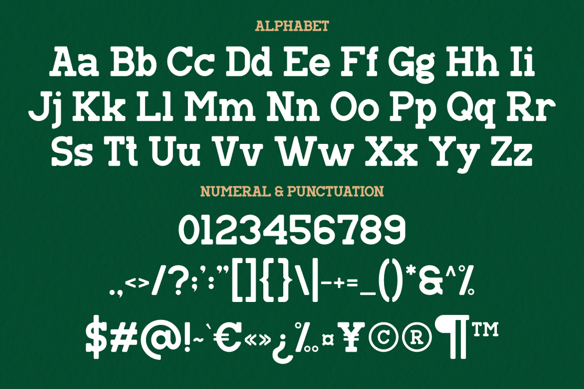 Manline Slabs - A Classic Slab Font, a Slab Serif Font by Marvadesign (Photo 3 of 7)