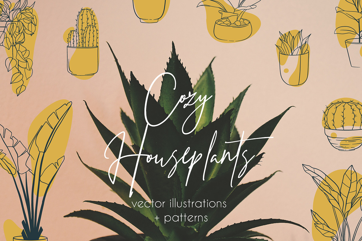 Cozy Houseplants | illustrations, a Decorative Illustration by Wander Designs (Photo 1 of 6)