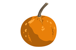 Cute small decorative pumpkin, an Object Illustration by Toltemara