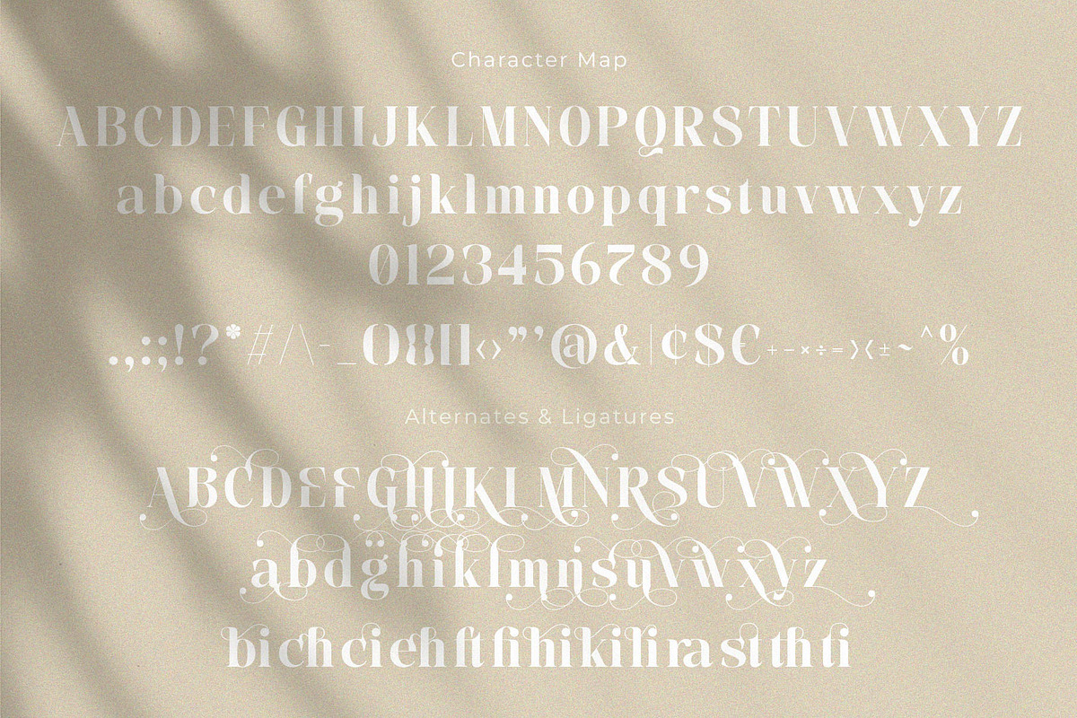Sadega - Elegant Serif Font, a Serif Font by Jimoji (Photo 9 of 11)