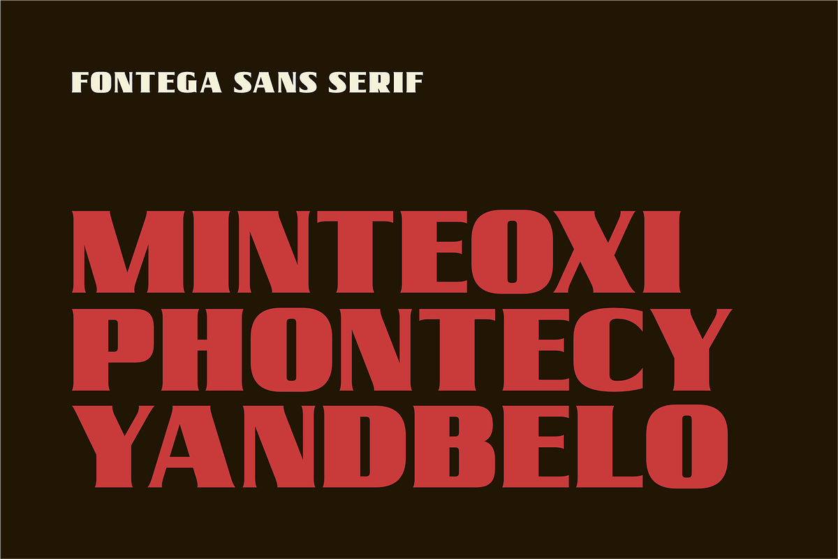 Fontega, a Script Font by ahweproject (Photo 8 of 11)