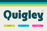 CS Quigley – Bold Font, a Sans Serif Font by Craft Supply Co. (Thumbnail 1 of 8)