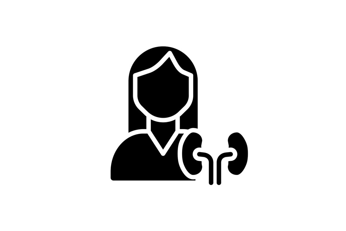 Nephrology black glyph icon, a Solid Icon by IMG Visuals