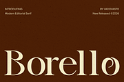 Borello Modern Editorial Serif Font, a Serif Font by Vadovastd (Thumbnail 1 of 7)