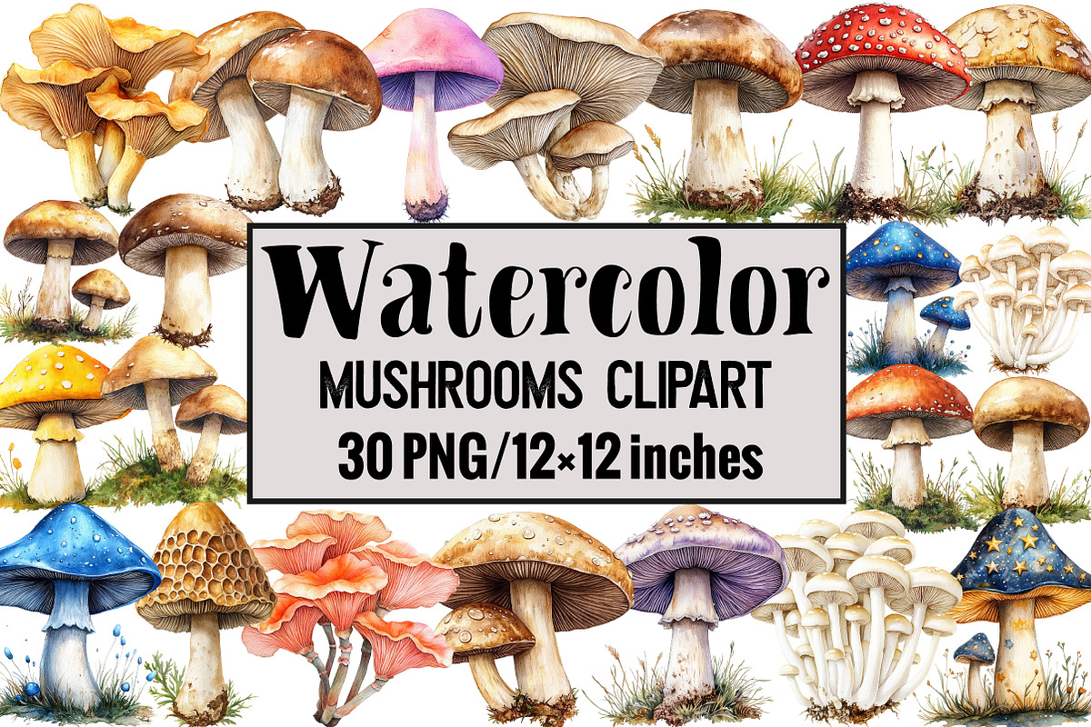 Mushrooms Clipart, an Illustration by Design Market (Photo 1 of 4)