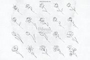 Procreate One Line Flowers, a Brush Add-On by DiBrush Studio (Thumbnail 3 of 4)