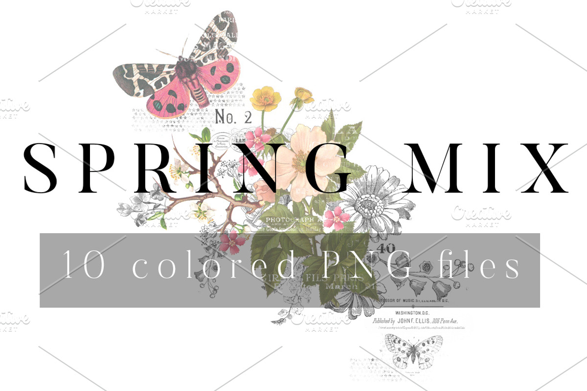 Spring Mix, an Object Graphic by Rhonna Designs (Photo 1 of 3)