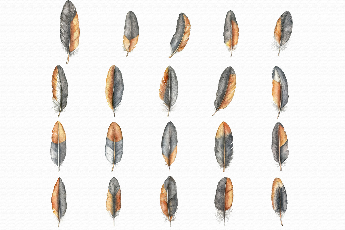 Feather Watercolor Clipart, an Illustration by Libby Wishes (Photo 2 of 7)