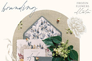 Frozen Flowers Watercolor Collection, a Texture Illustration by Julia Dreams (Thumbnail 2 of 8)