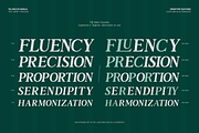 TBJ Moltefamilia Serif italic, a Serif Font by Taboja Studio (Thumbnail 5 of 15)