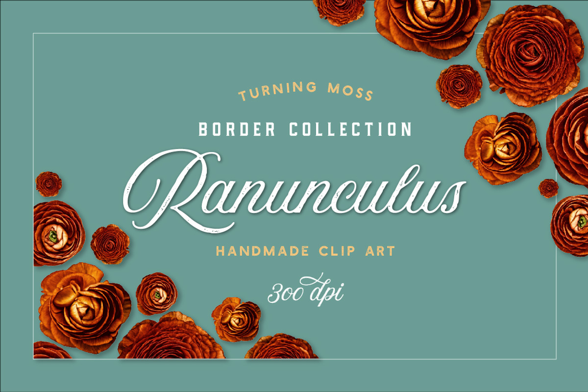Ranunculus Borders & Autumn ClipArt, an Object Graphic by Turning Moss (Photo 6 of 6)