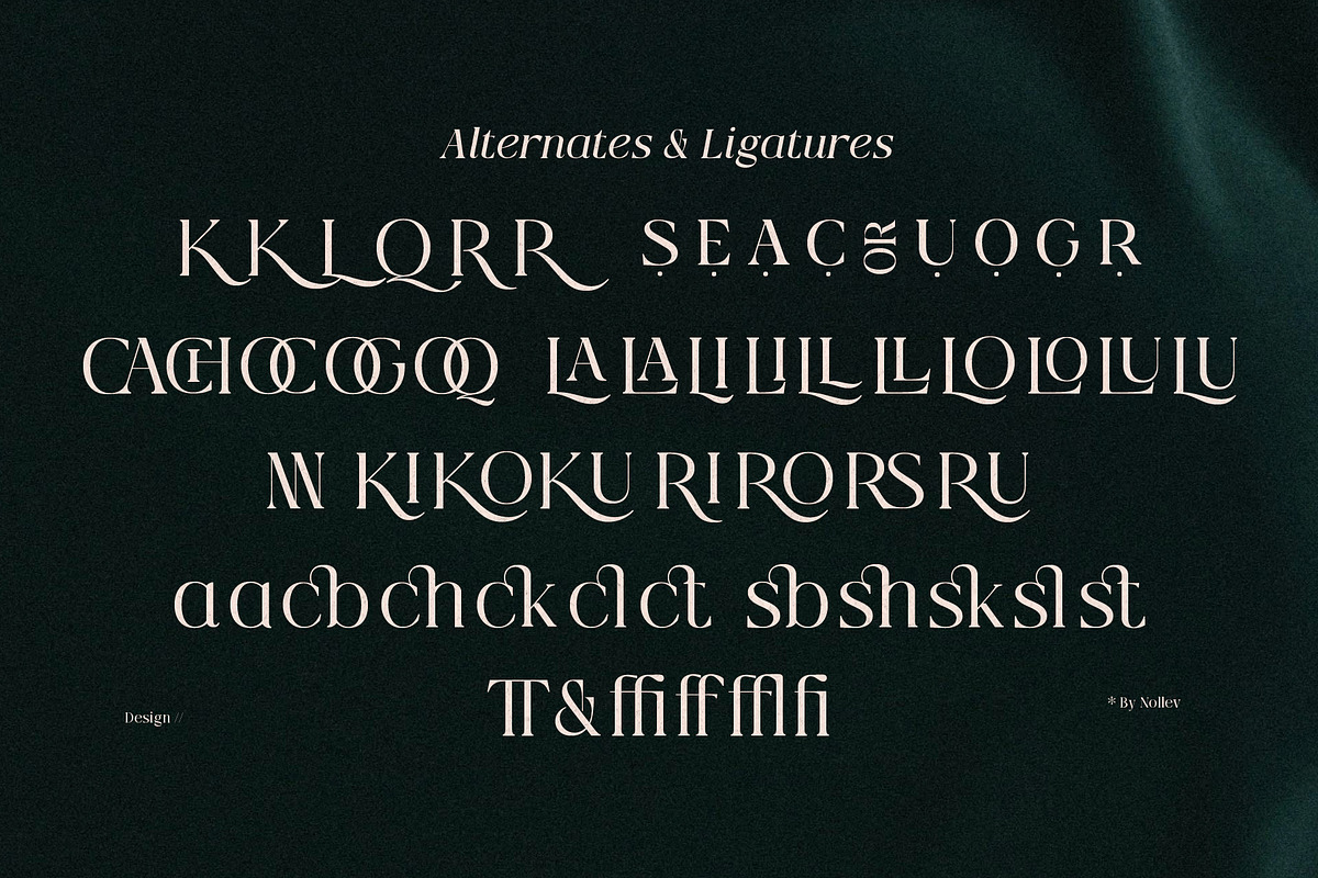 Qlaxe Serif – Update Italics, a Serif Font by Nollev (Photo 2 of 14)
