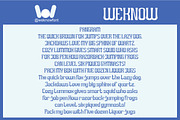 Already Know font, a Sans Serif Font by weknow (Thumbnail 6 of 8)