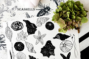 BIG MAGICAL BUNDLE ! BEST SELLERS, an Illustration by ArtOLB (Thumbnail 26 of 39)