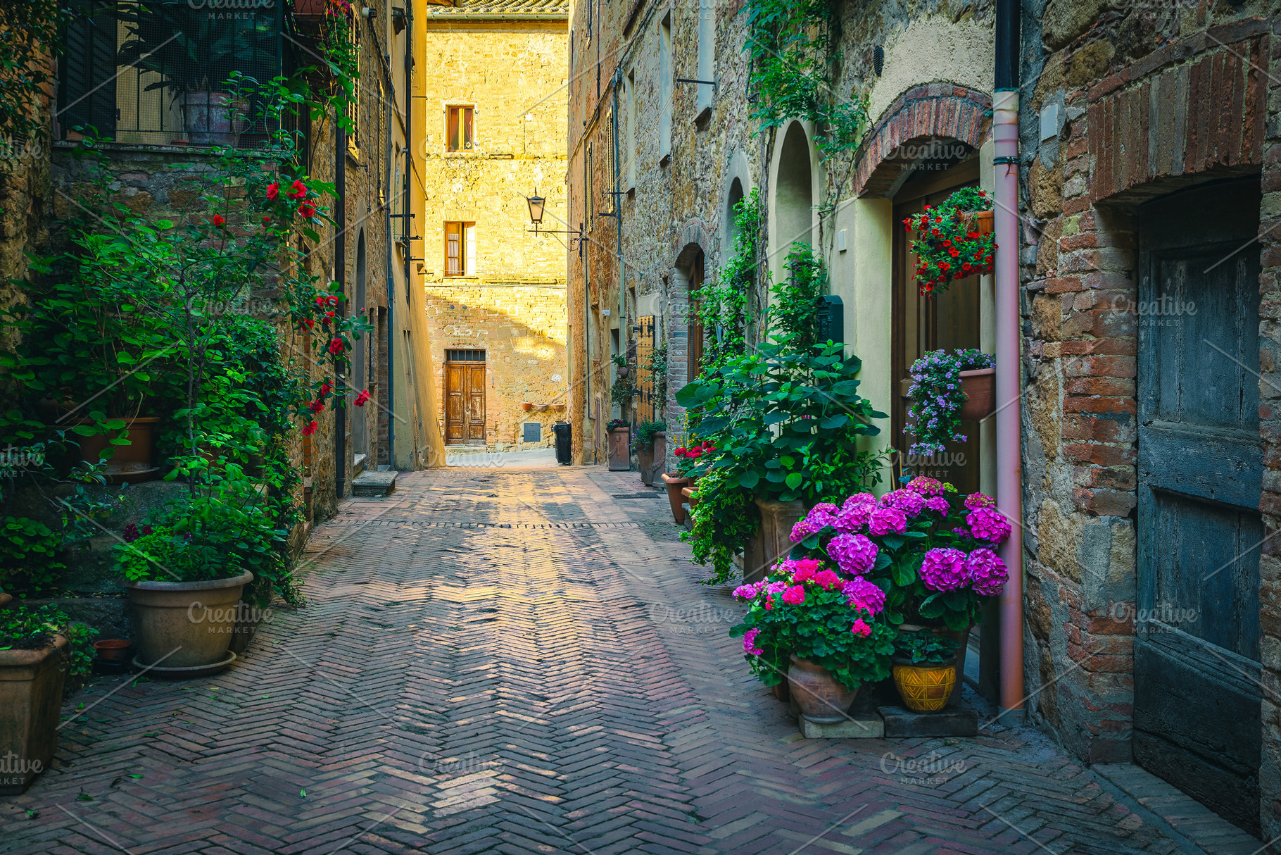Cozy narrow flowery street, an Architecture Photo by Alpine Dreams