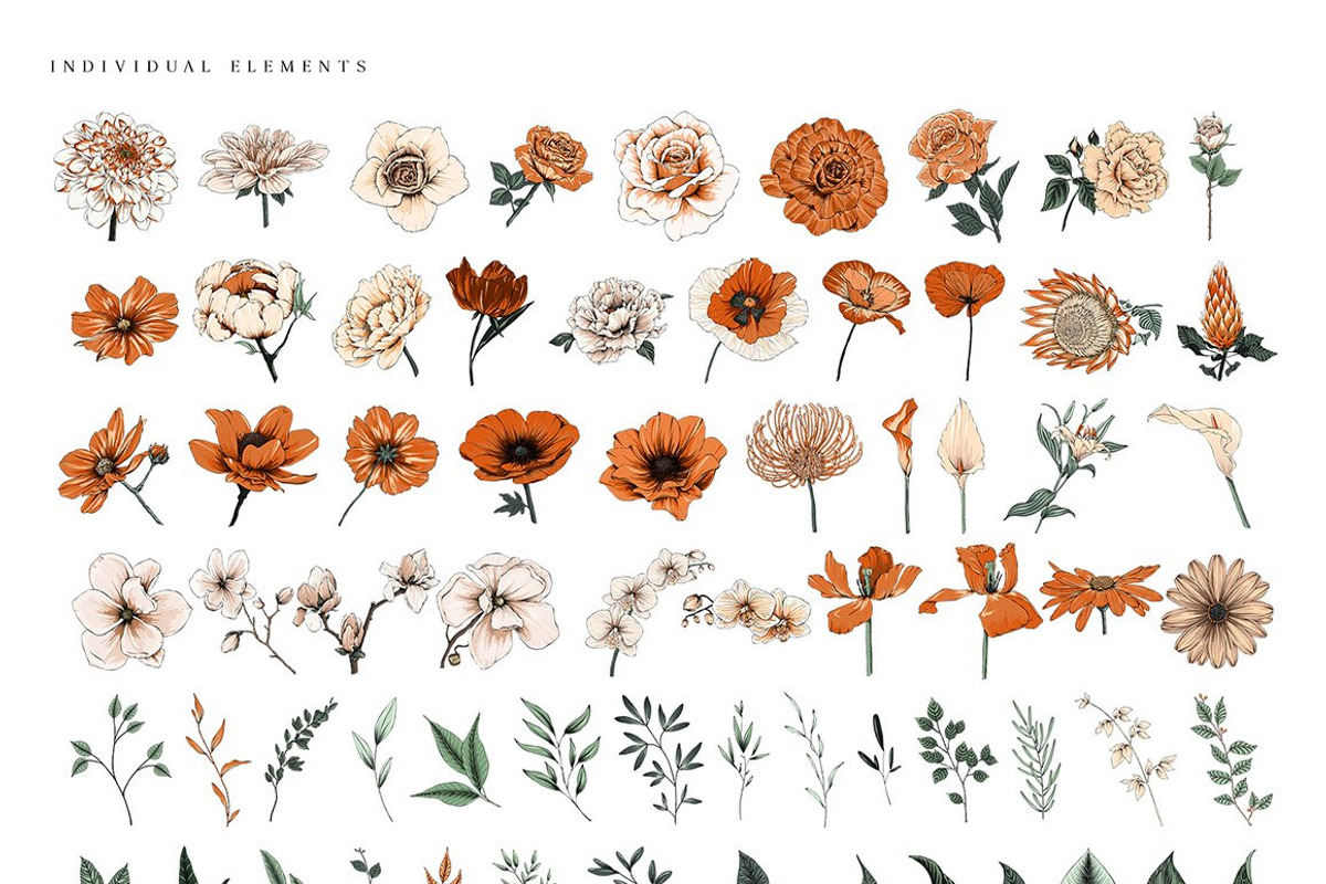 Ultimate Flower & Leaf Collection, an Object Graphic by Pretty Little Lines (Photo 15 of 47)