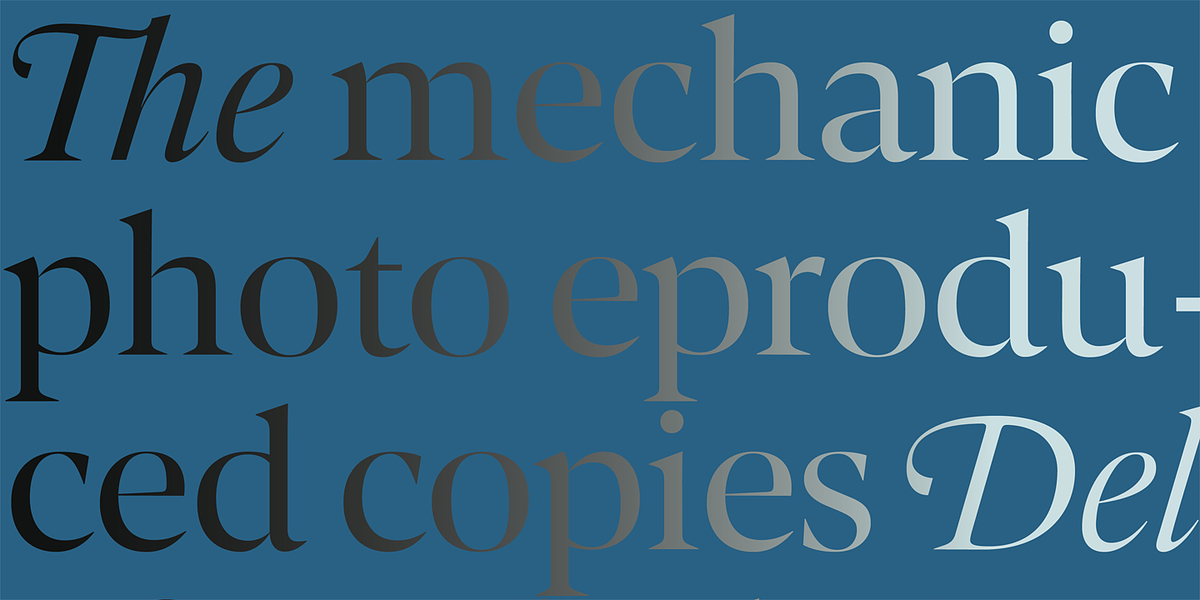 Contane, a Serif Font by Hoftype (Photo 8 of 15)