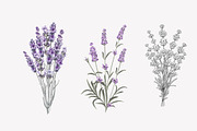 34 Lavender branch and bouquet, an Illustration by Kotkoa (Thumbnail 3 of 7)