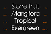 Mangos Sans, a Sans Serif Font by Mabütype (Thumbnail 9 of 9)